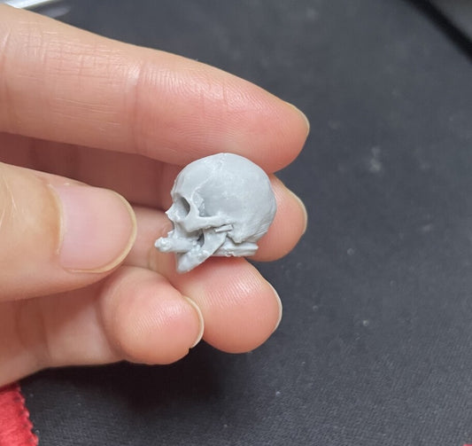 Unpainted 1/18 skull Man Head Sculpt Model For 3.75'' Figure Acid Rain Joytoy