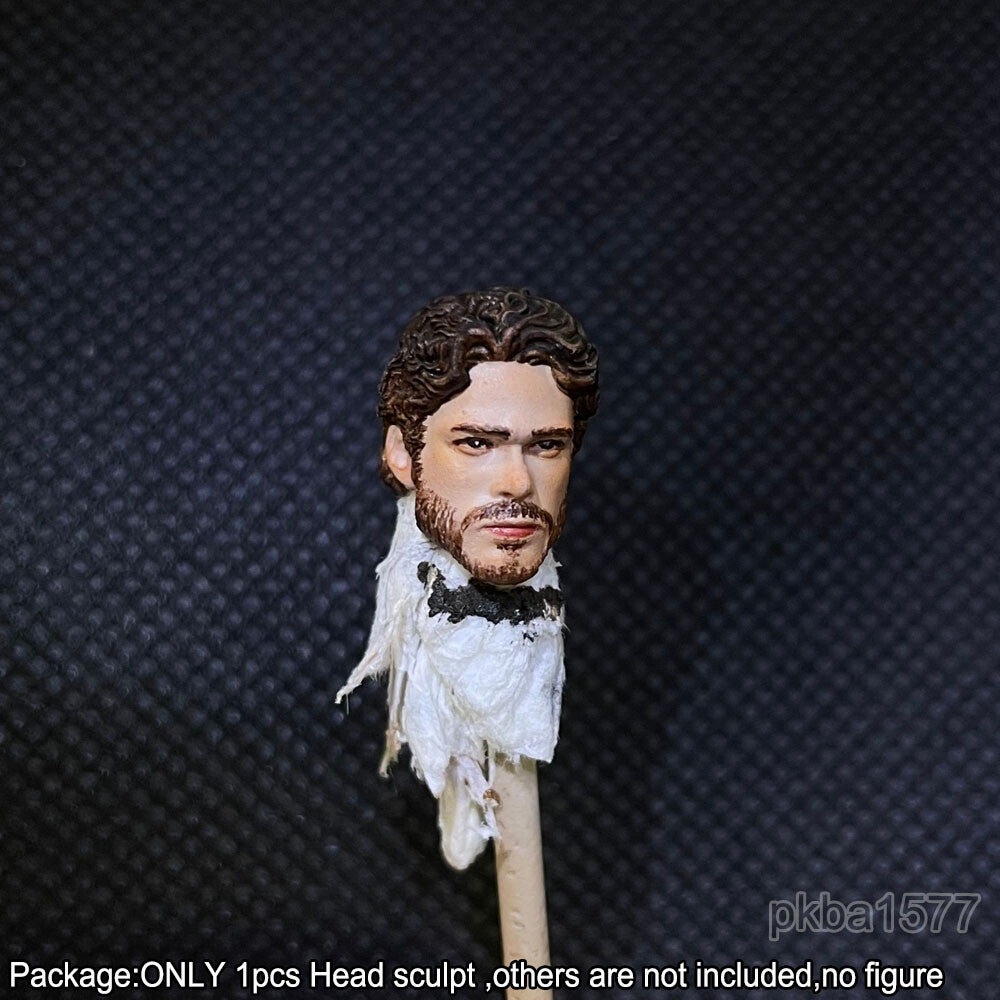 【PRE-ORDER】Premium 1/18 Robb Stark Male Head Sculpt Soldier Head For 3.75" Acid Rain Figure
