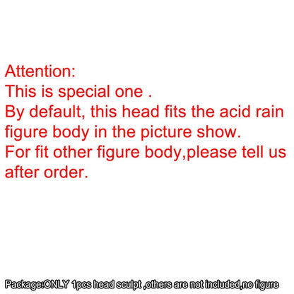 【PRE-ORDER】Delicate Painted 1/18 Man Head Sculpt Soldier Head For 3.75'' Acid Rain Figure