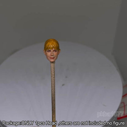 【PRE-ORDER】Premium 1/18 Pepper Potts Head Sculpt Beauty Female Head For 3.75" Acid Rain