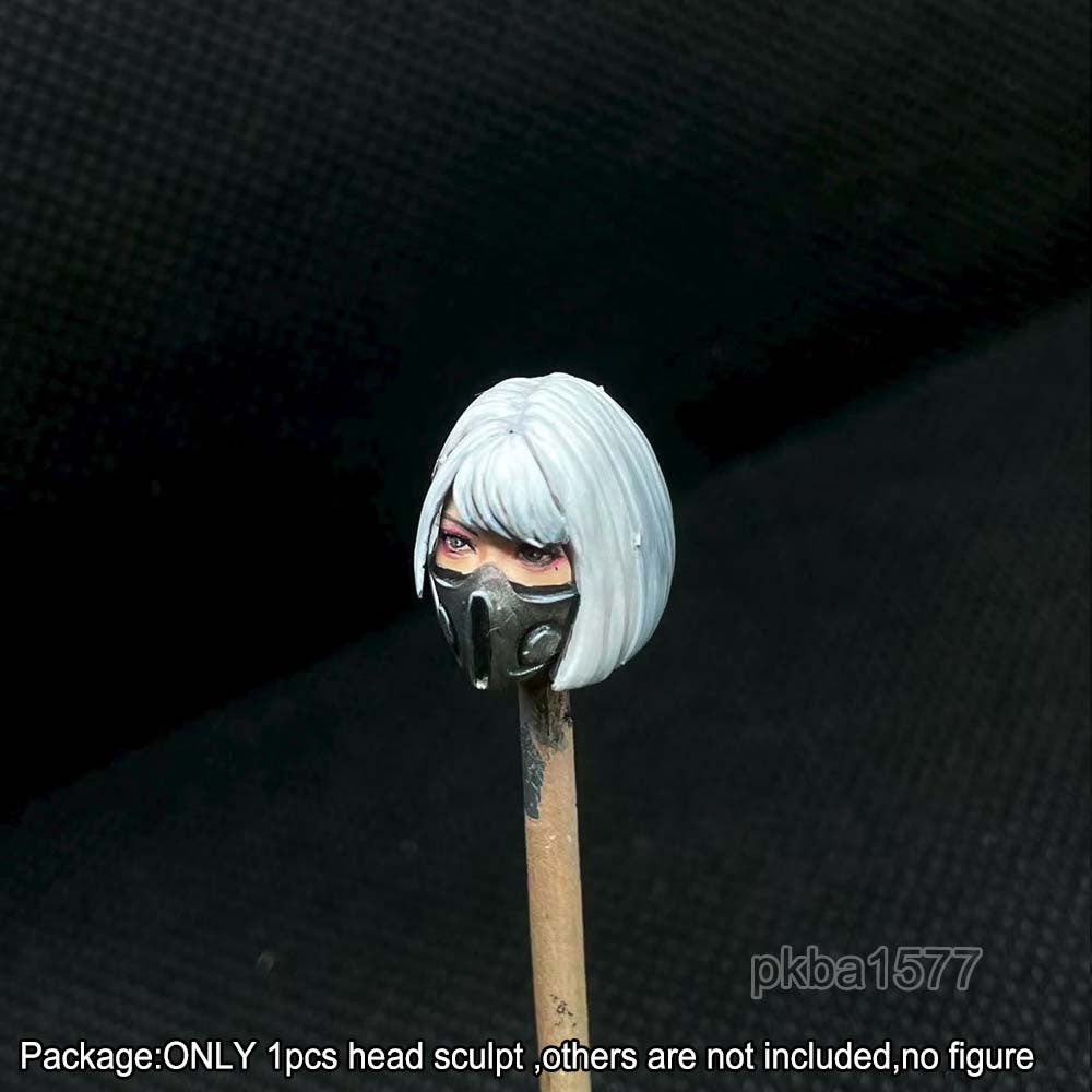 【PRE-ORDER】Premium 1/18 Haizhua Female Head Sculpt Model For 3.75" Joytoy Sister Figure