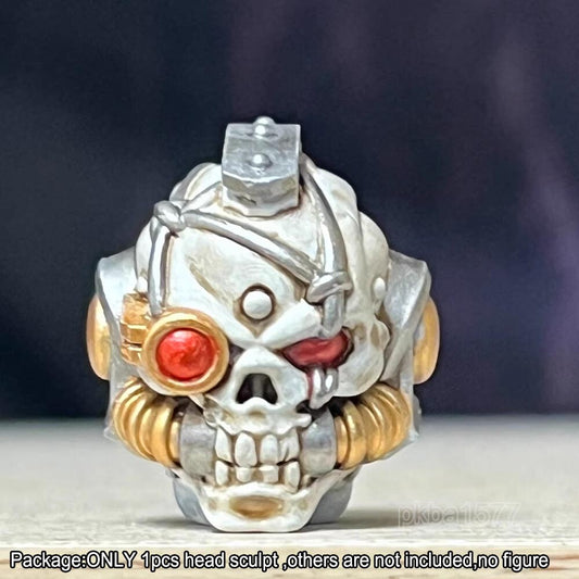 【PRE-ORDER】New Premium Skull Man Head Sculpt For Joytoy whk40 Figure Model Action Figure