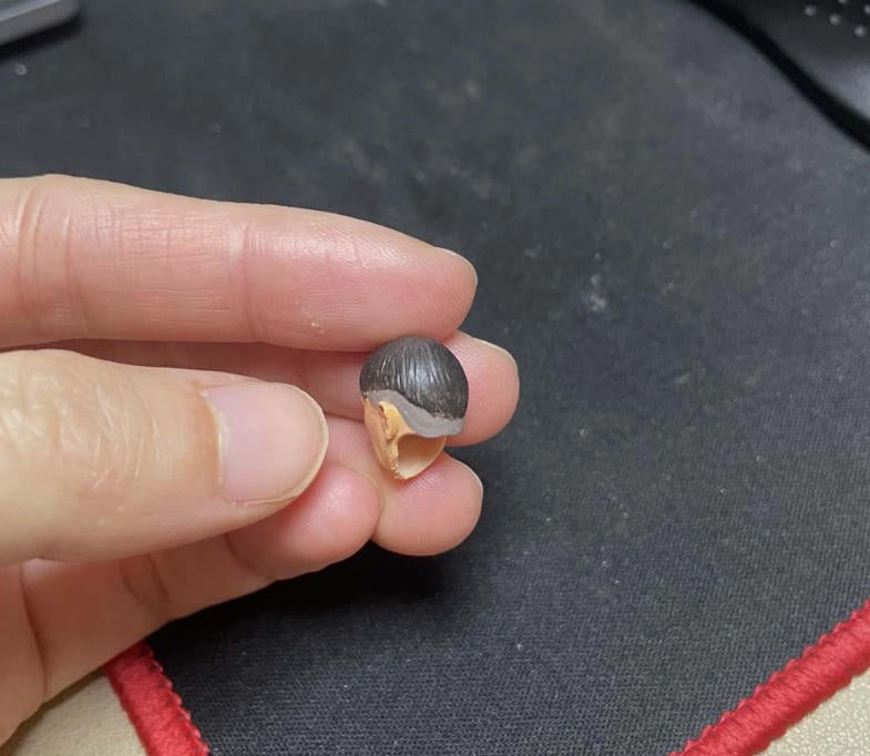 【PRE-ORDER】Premium Painted 1/18 Army Leader Head Sculpt Soldier Man Head For 3.75" Figure