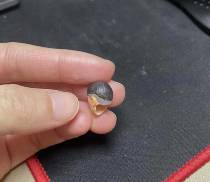 【PRE-ORDER】Premium Painted 1/18 Army Leader Head Sculpt Soldier Man Head For 3.75" Figure