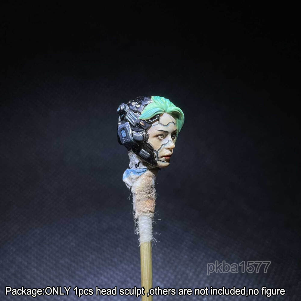 【PRE-ORDER】Cool Premium 1/18 Cyberpunk Female Head Sculpt Soldier Head For 3.75" Figure