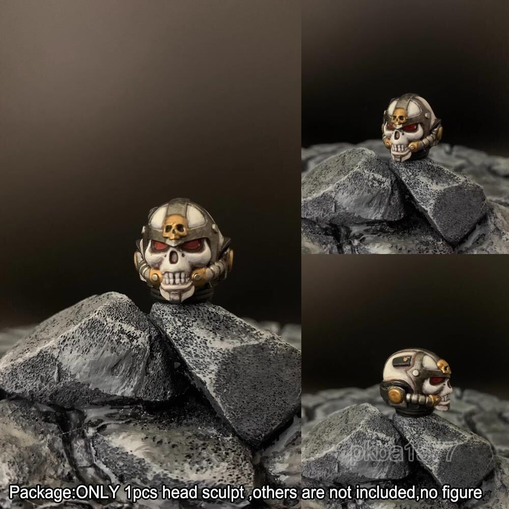 【PRE-ORDER】 Premium 1/18 Skull Man Head Sculpt For 3.75" Joytoy action figure Figure
