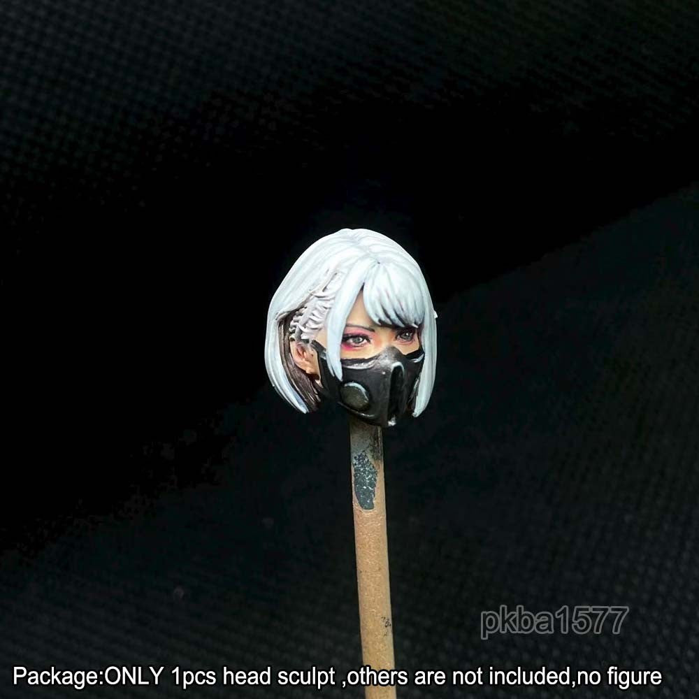 【PRE-ORDER】Premium 1/18 Haizhua Female Head Sculpt Model For 3.75" Joytoy Sister Figure