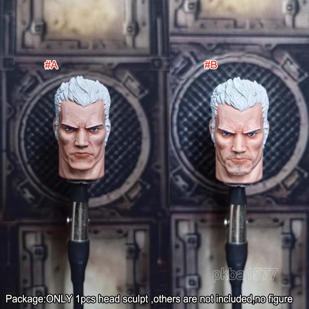 【PRE-ORDER】Premium Man Head Sculpt Model Replace For Joytoy Imperial Fists Rogal Figure
